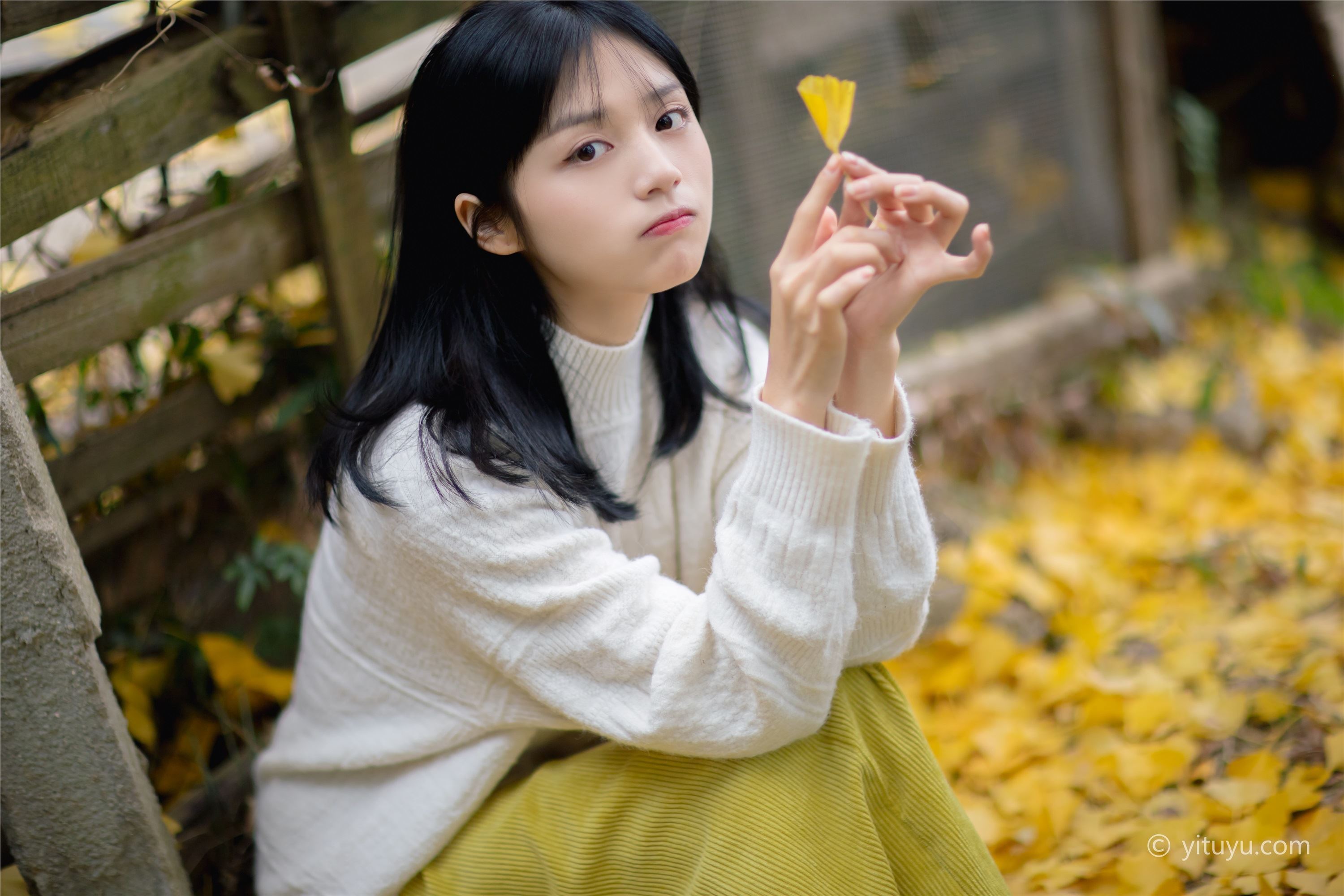 YITUYU艺图语 2021.08.14 银杏之恋 雨文